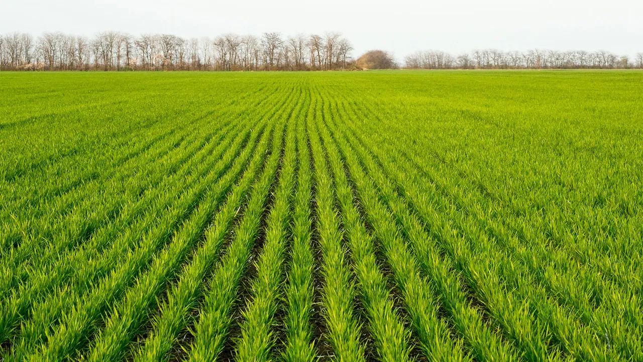 0318H 3747A 1800x1012