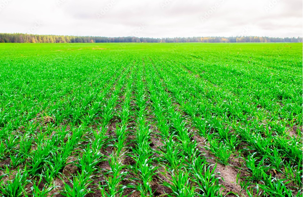 1000 F 181212670 6o9bAb5oCZfu49tGQDhVxYEsY8AegLkc 1000 F 181212670 6o9bAb5oCZfu49tGQDhVxYEsY8AegLkc