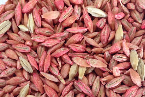 1111111111 4 1111111111 4