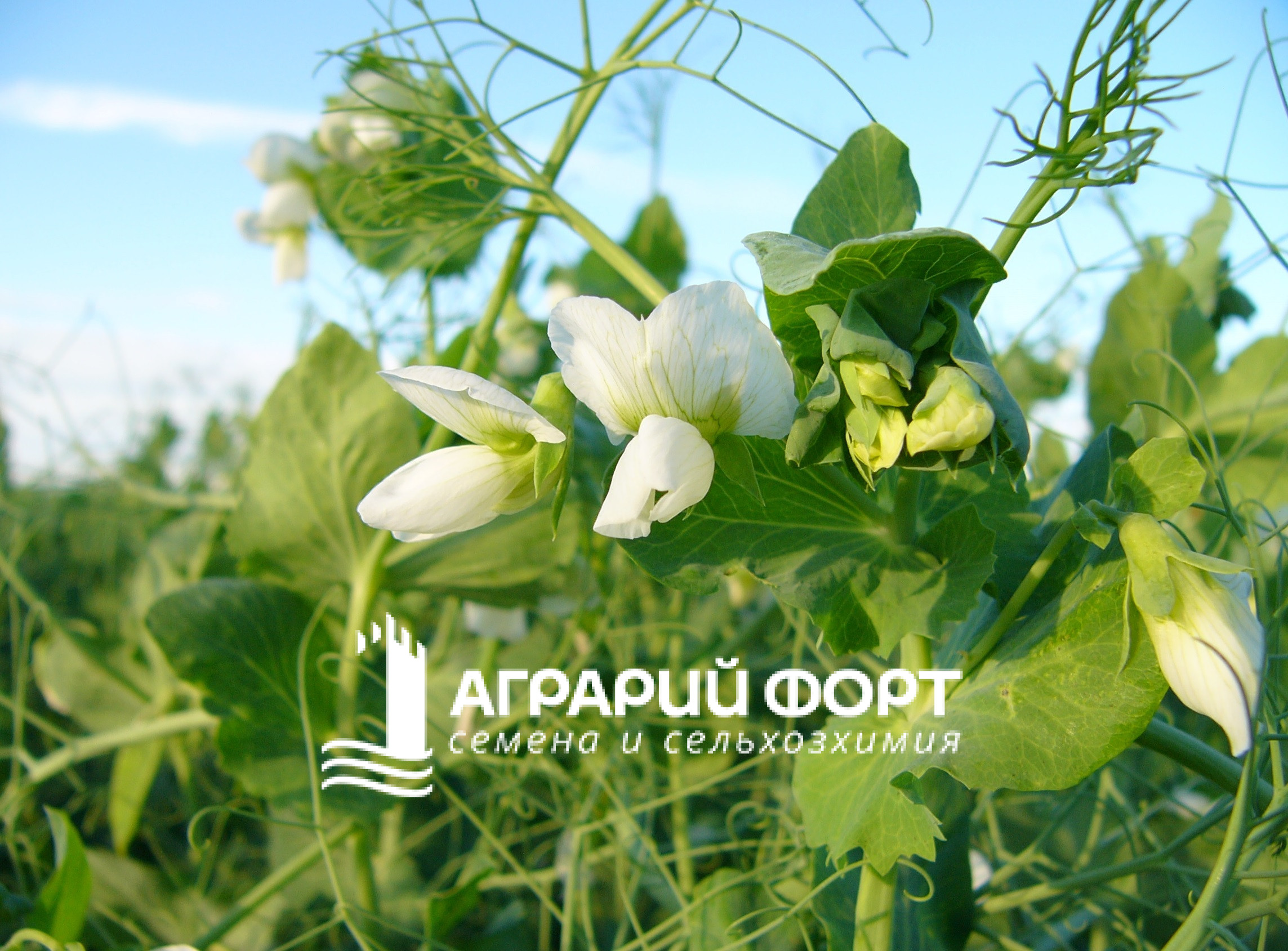 6854922e0d58537d050abeef5cf540bad3409c94