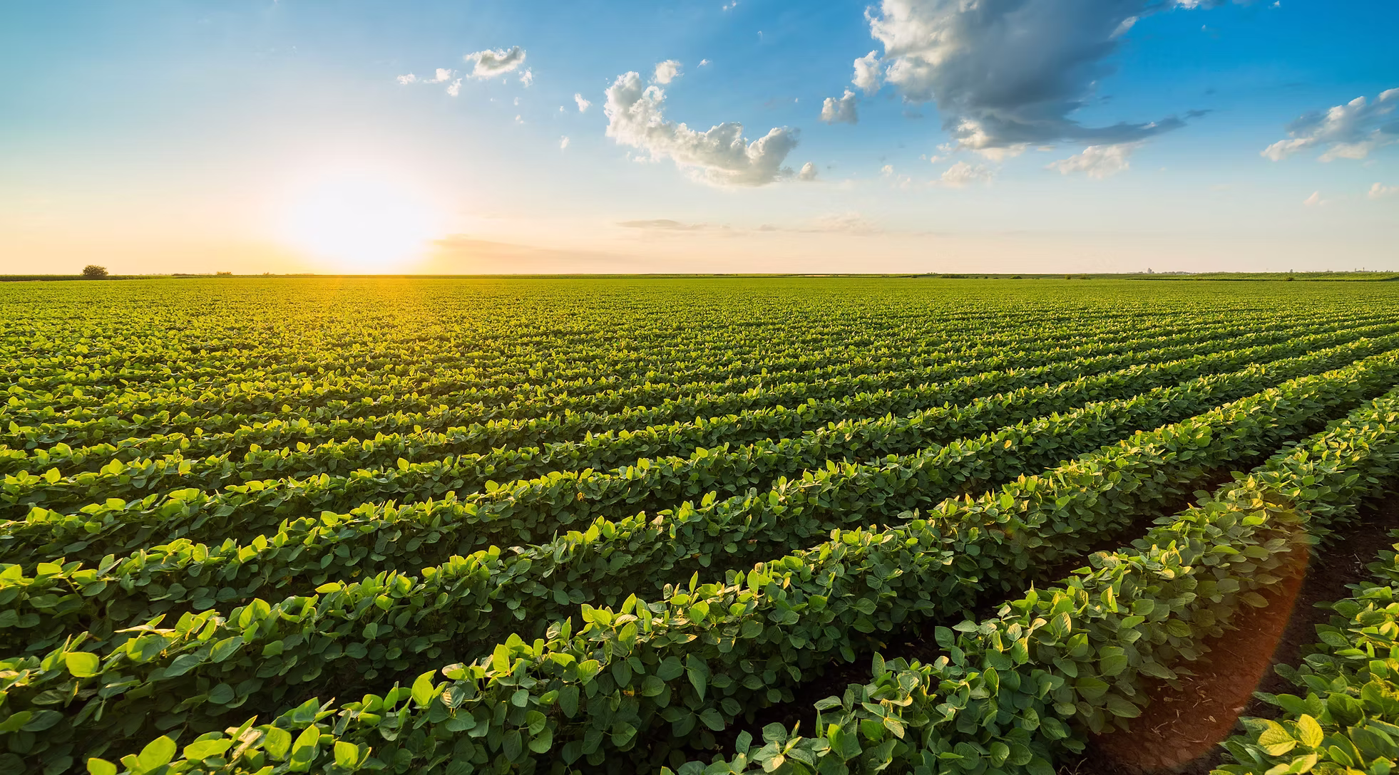 8bccab af17b94d239a423ba8639f83d096e16d~mv2 d 5521 3681 s 4 2 8bccab af17b94d239a423ba8639f83d096e16d~mv2 d 5521 3681 s 4 2