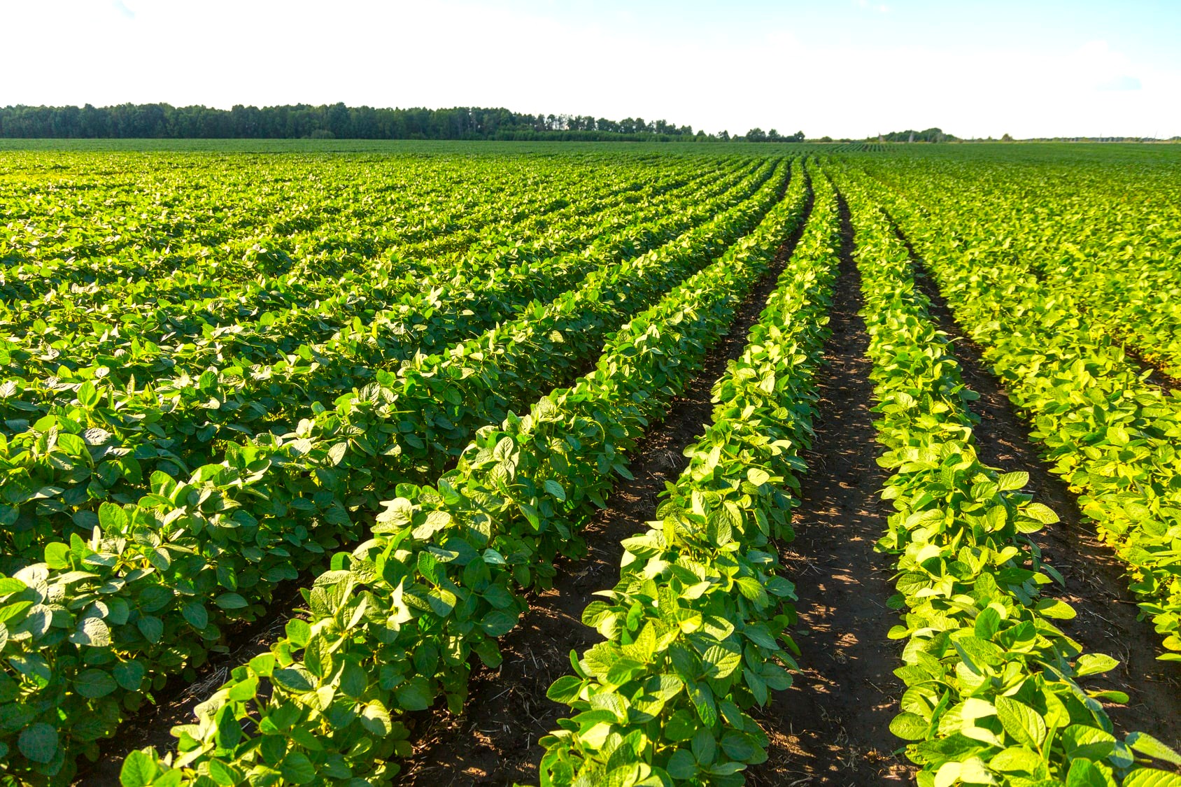 Fotolia 75352054 Subscription Monthly M min Fotolia 75352054 Subscription Monthly M min