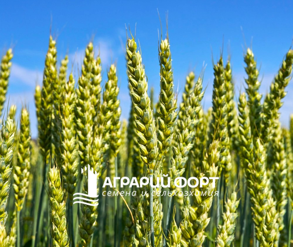 a6eb2539f80df878974cf43125386a08