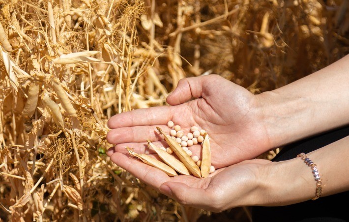 a896792e1cf4269d84e27ed92c7d0c2a088d78062feb9b8537afe447319d.jpeg a896792e1cf4269d84e27ed92c7d0c2a088d78062feb9b8537afe447319d.jpeg