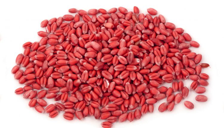 Depositphotos 5451541 ds пшеница протравленная 750x430 Depositphotos 5451541 ds пшеница протравленная 750x430