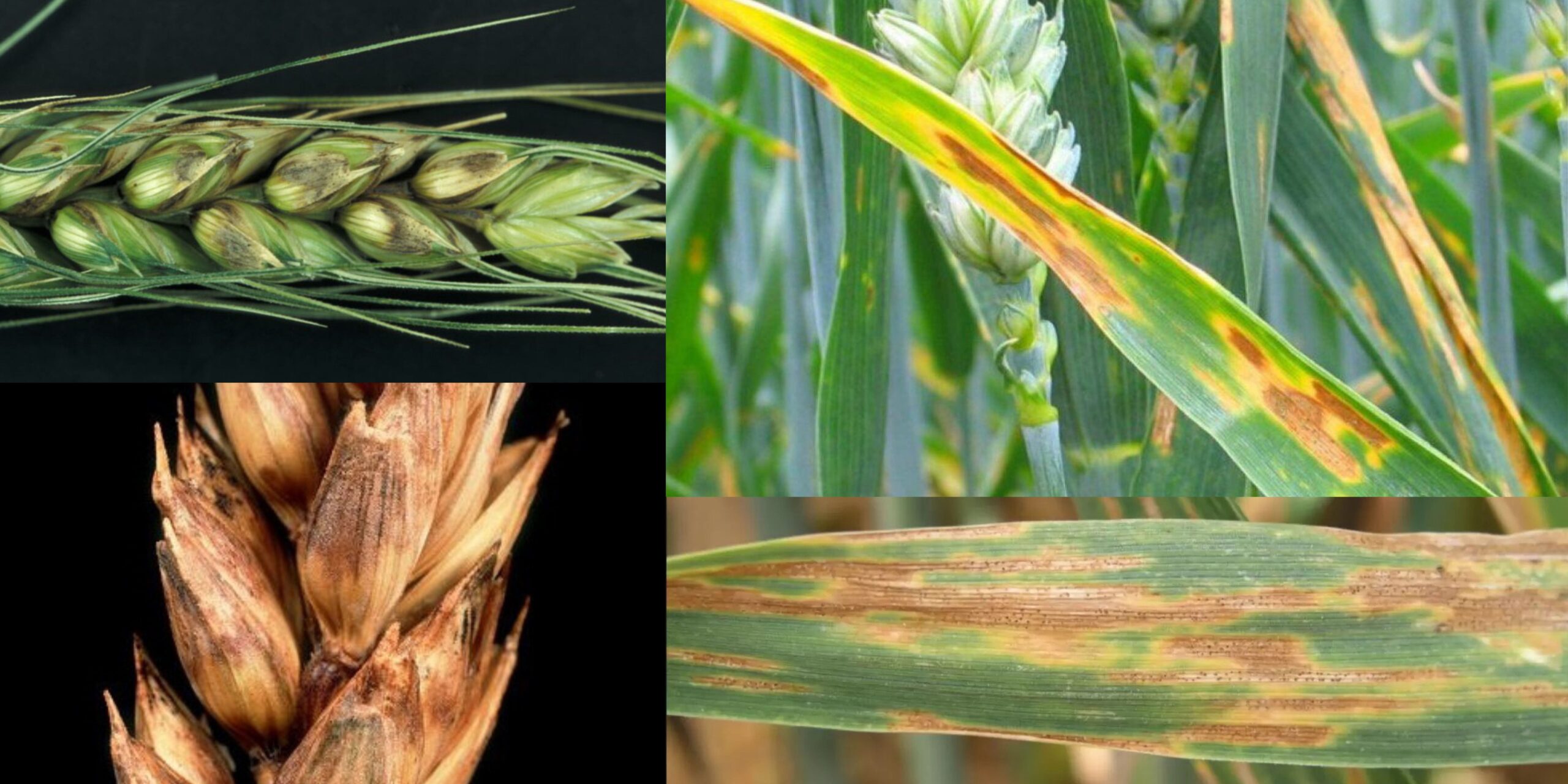 Добавить заголовок 2025 08 18T142406.785 (1) Добавить заголовок 2025 08 18T142406.785 (1)