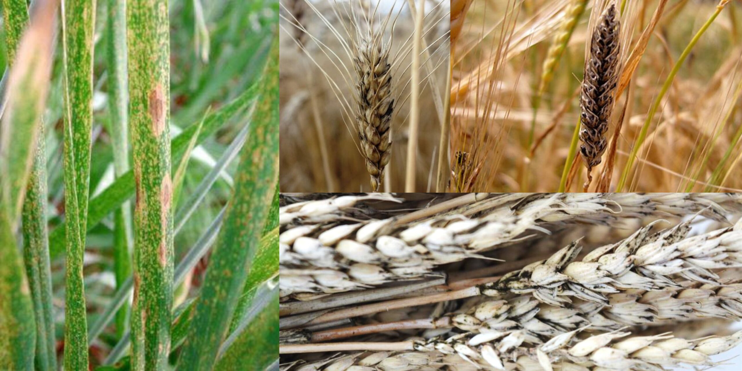 Добавить заголовок 2025 08 18T144404.400 (1) Добавить заголовок 2025 08 18T144404.400 (1)