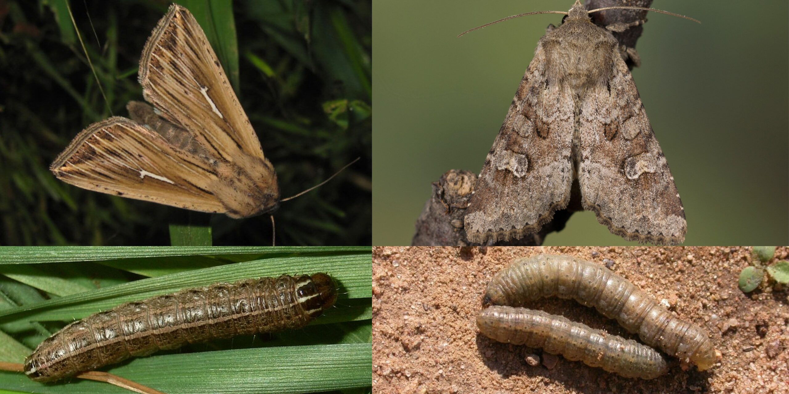 Добавить заголовок 2025 08 18T150228.942 (1) Добавить заголовок 2025 08 18T150228.942 (1)