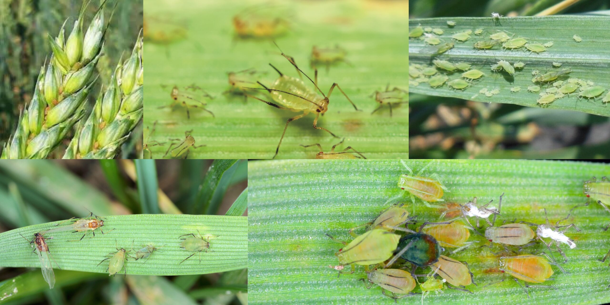 Добавить заголовок 2025 08 18T151257.583 (1) Добавить заголовок 2025 08 18T151257.583 (1)