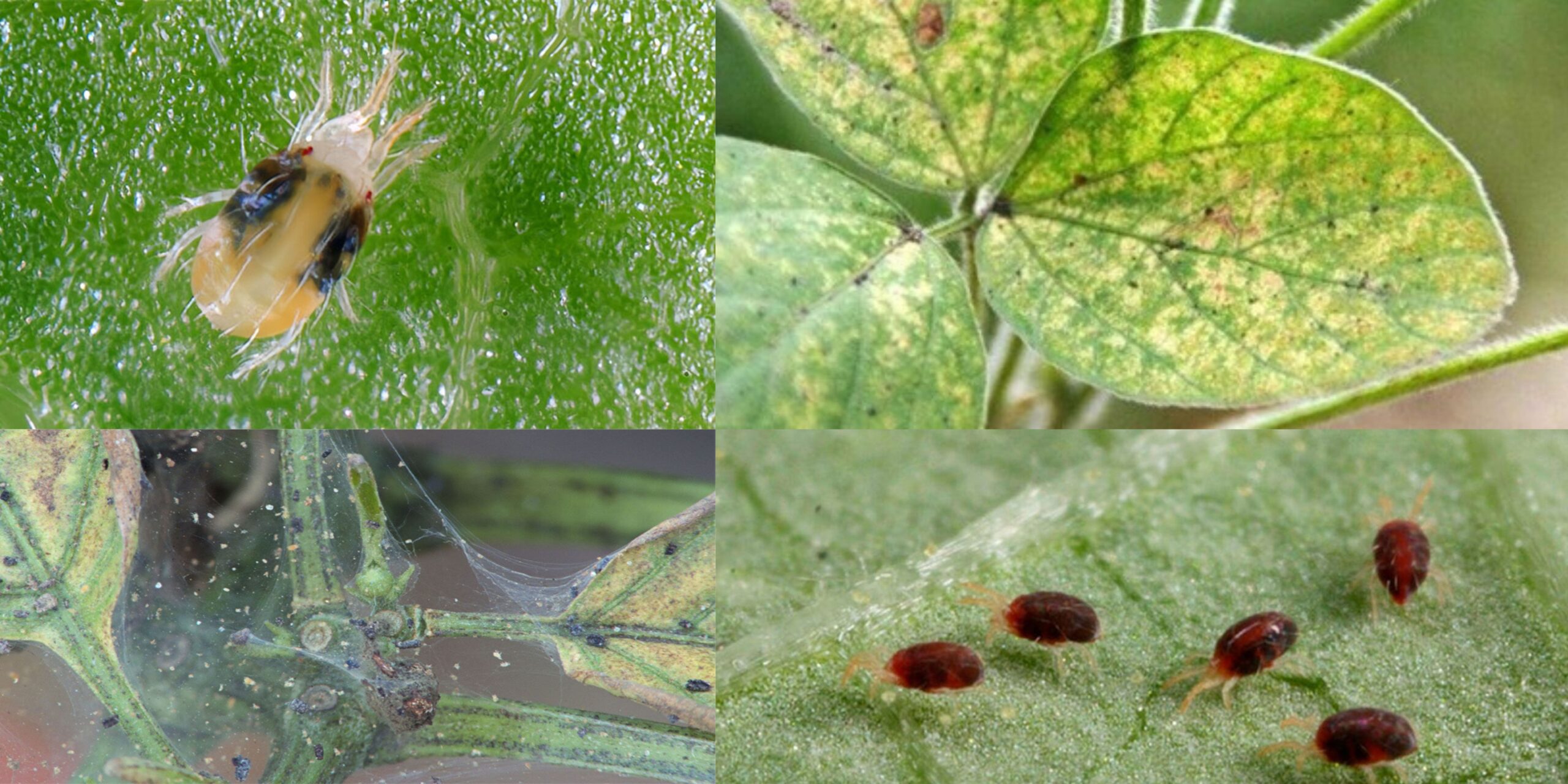 Добавить заголовок 2025 08 18T152129.987 (1) Добавить заголовок 2025 08 18T152129.987 (1)