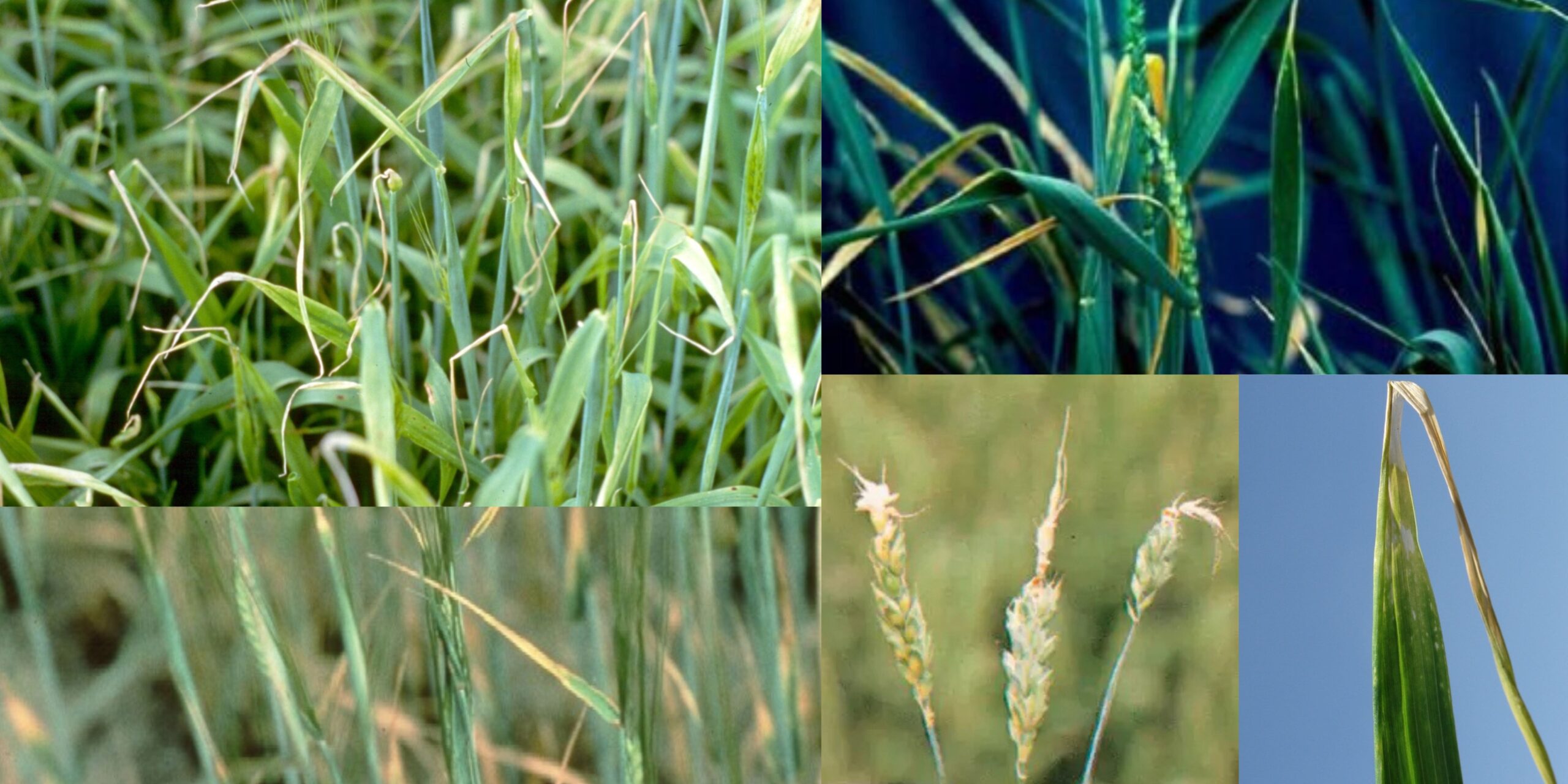 Добавить заголовок 2025 08 26T133145.364 (1)