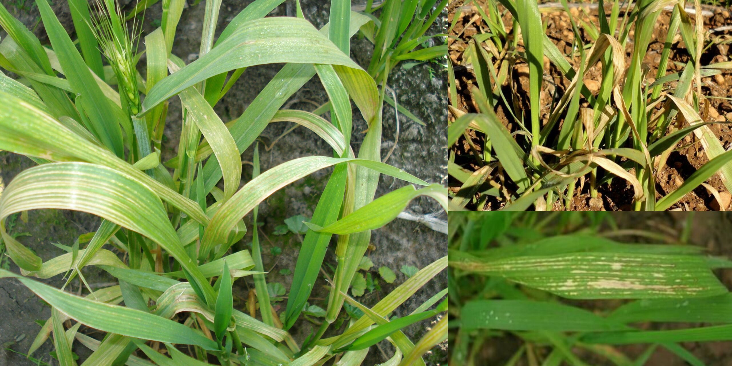 Добавить заголовок 2025 08 26T134055.792 (1)