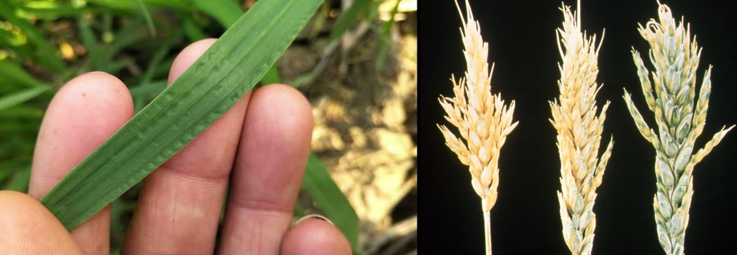 Добавить заголовок 2025 08 26T134715.407 (1)