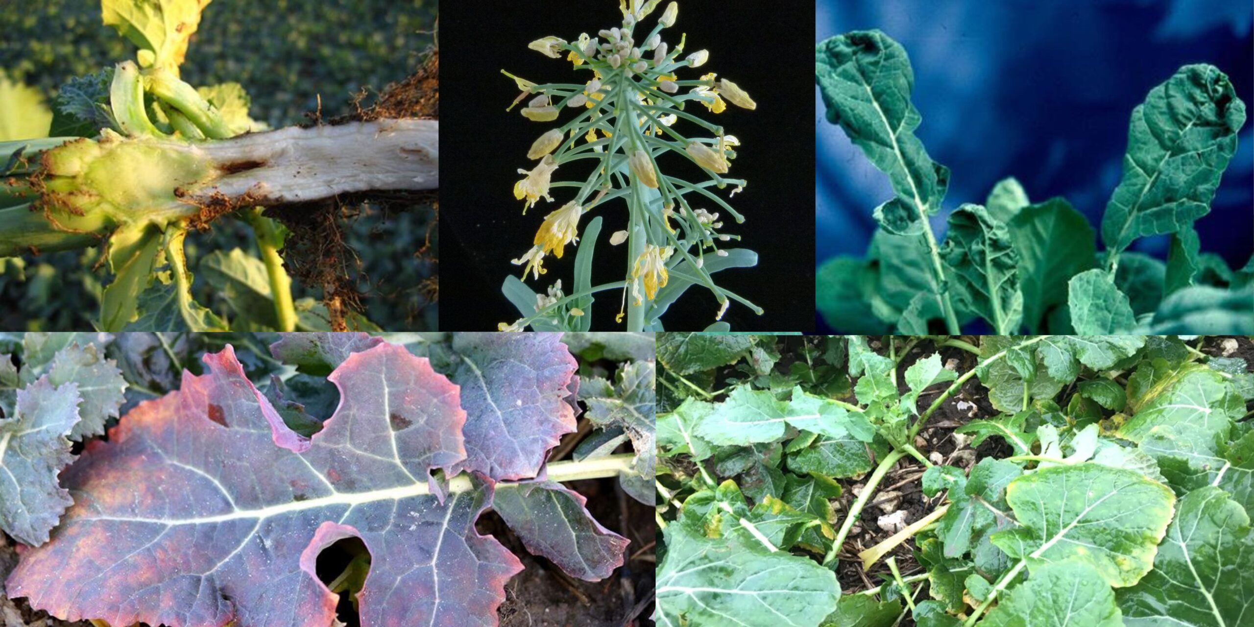 Добавить заголовок 2025 08 27T143309.471 (1) Добавить заголовок 2025 08 27T143309.471 (1)