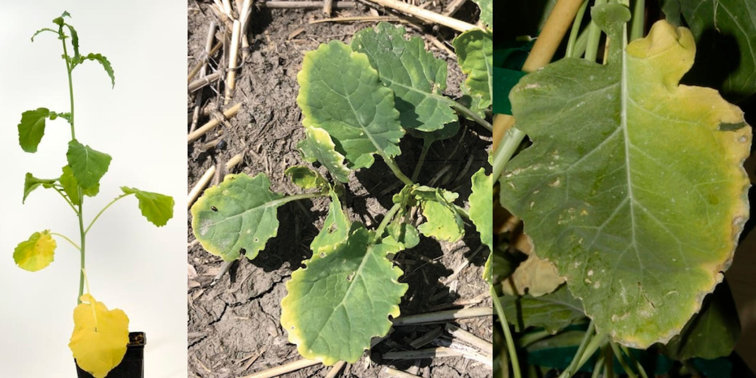 Добавить заголовок 2025 08 28T154945.967 (1) Добавить заголовок 2025 08 28T154945.967 (1)