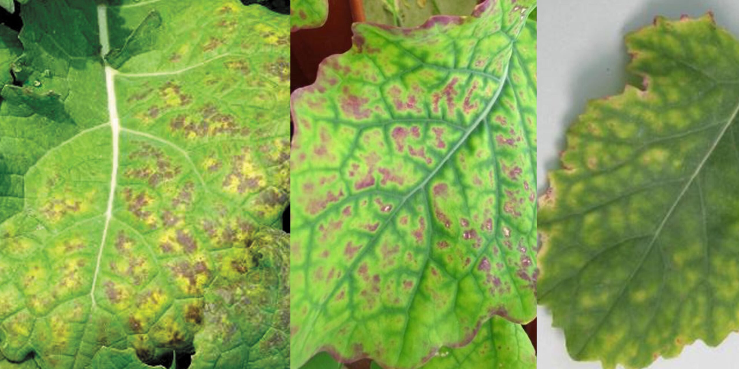 Добавить заголовок 2025 08 28T155742.040 (1) Добавить заголовок 2025 08 28T155742.040 (1)