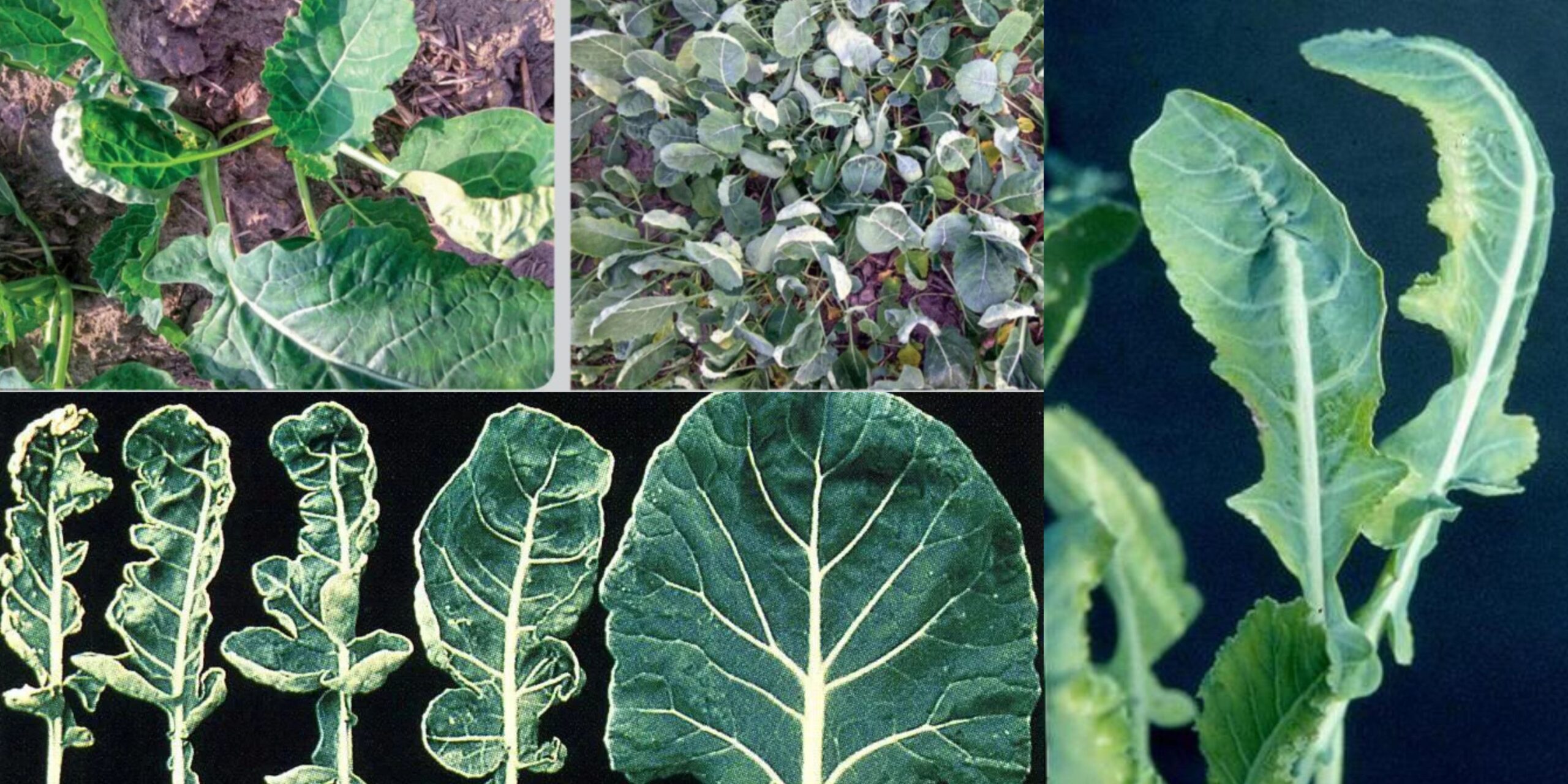 Добавить заголовок 2025 08 28T161828.528 (1) Добавить заголовок 2025 08 28T161828.528 (1)