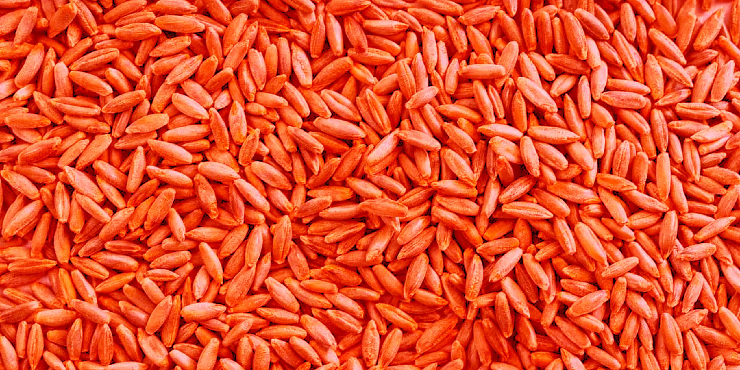 Добавить заголовок 2025 09 04T120059.160 (1) Добавить заголовок 2025 09 04T120059.160 (1)