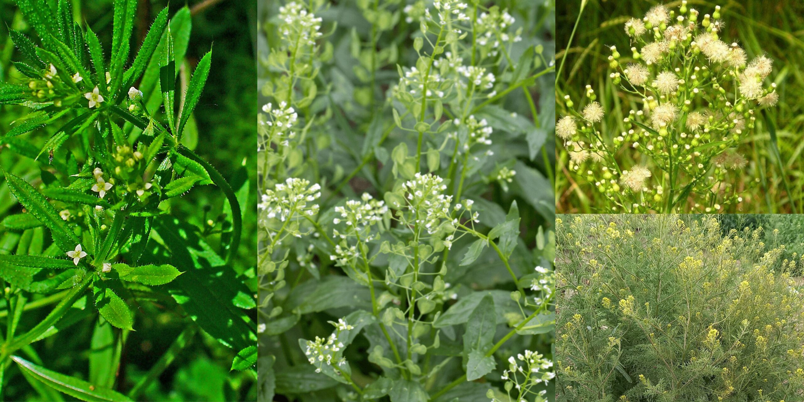 Добавить заголовок 2025 09 11T163201.830 (1)