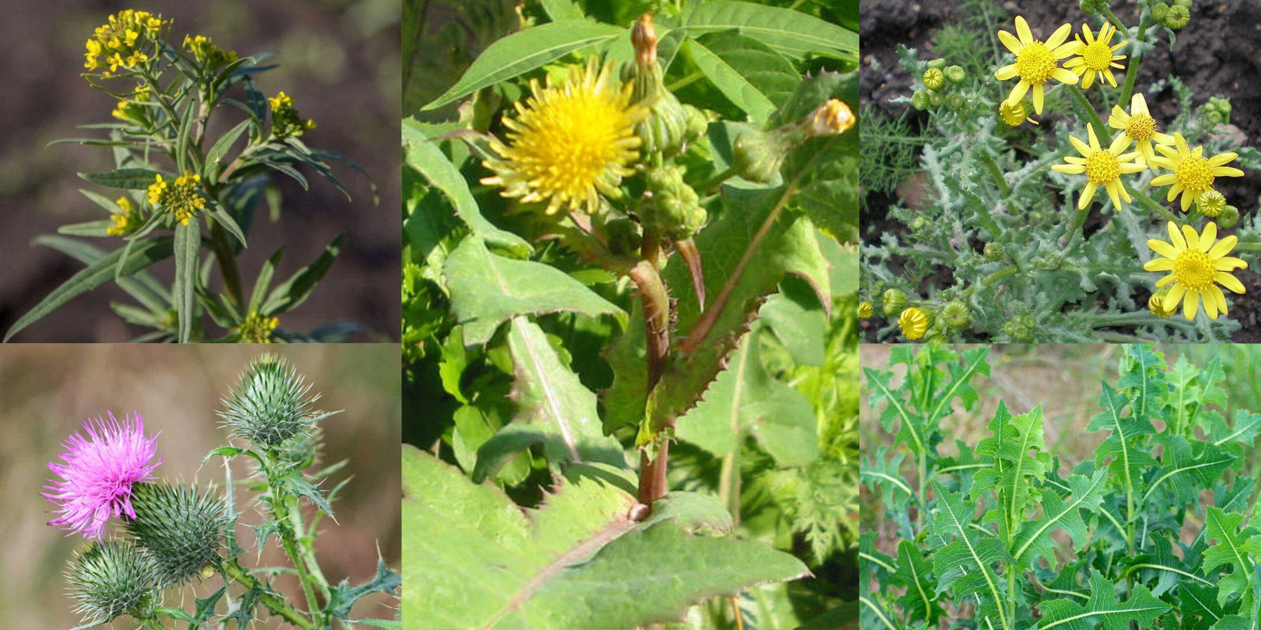 Добавить заголовок 2025 09 11T164550.587 (1)