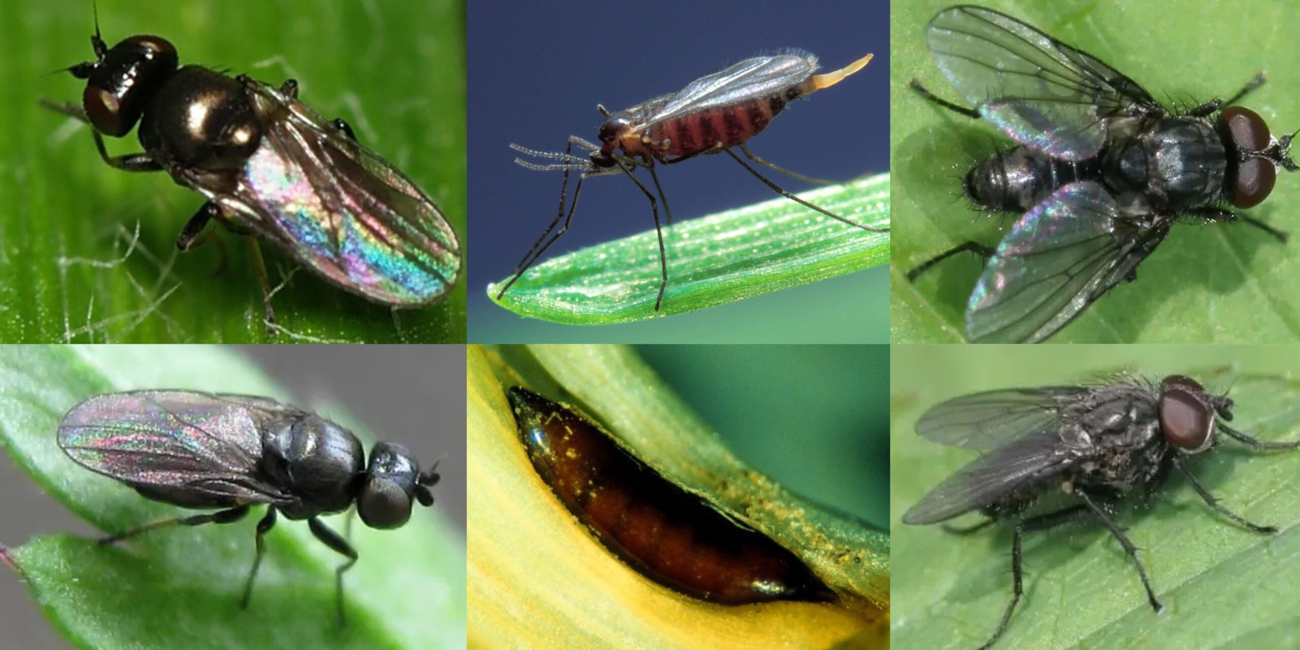 Добавить заголовок 2025 09 12T101200.304 (1) Добавить заголовок 2025 09 12T101200.304 (1)