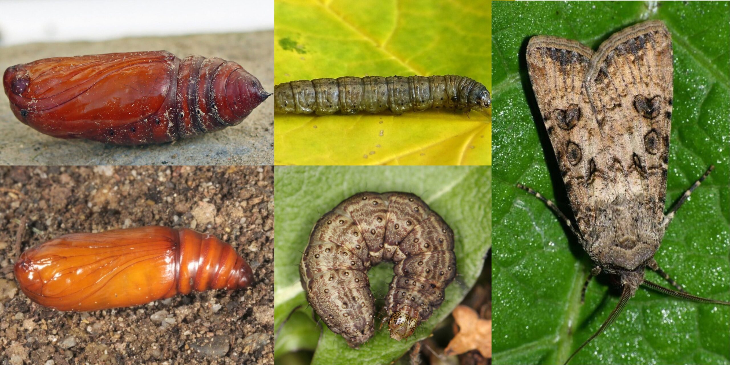 Добавить заголовок 2025 09 12T105017.022 (1) Добавить заголовок 2025 09 12T105017.022 (1)