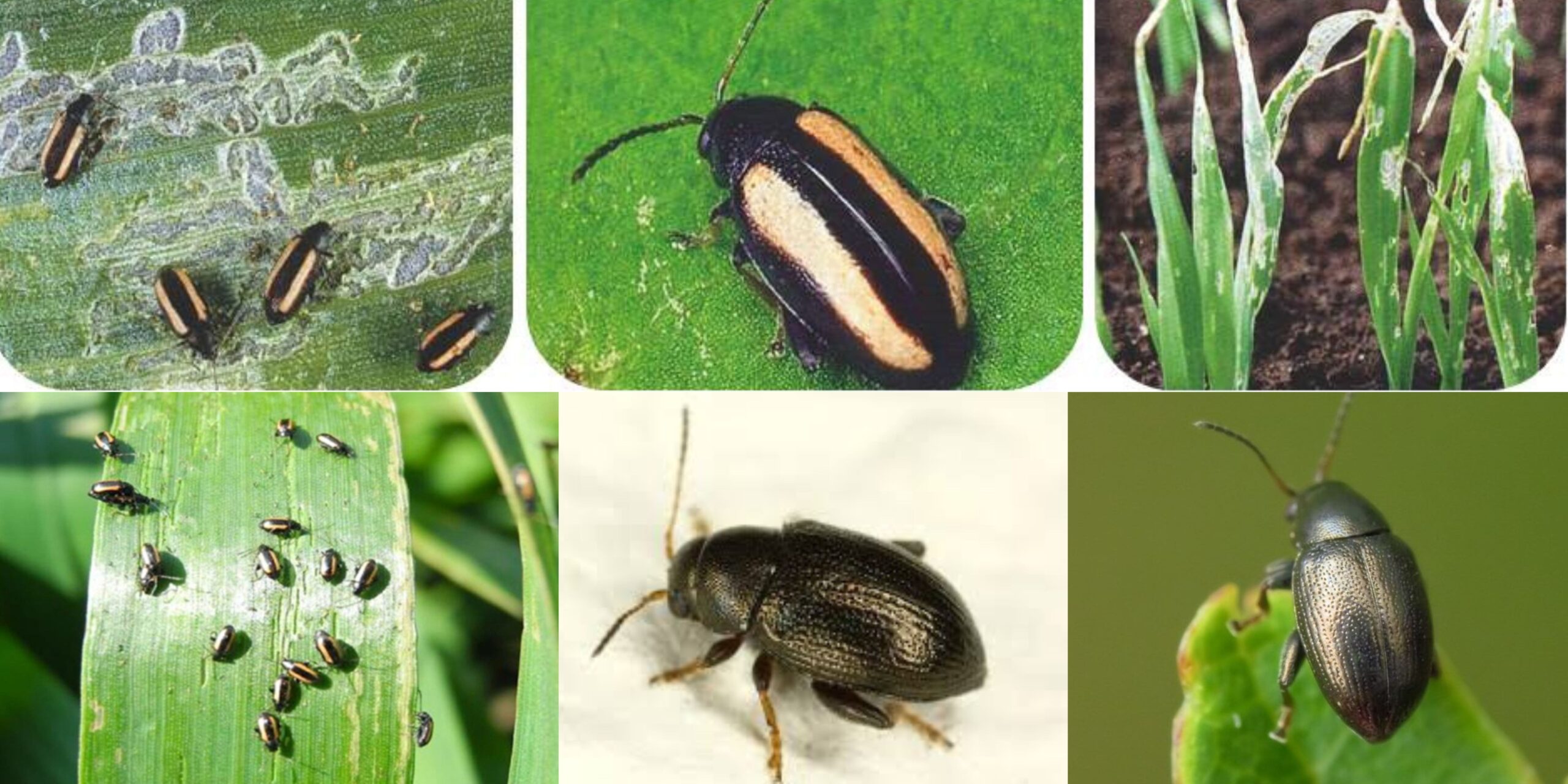 Добавить заголовок 2025 09 12T115822.868 (1) Добавить заголовок 2025 09 12T115822.868 (1)