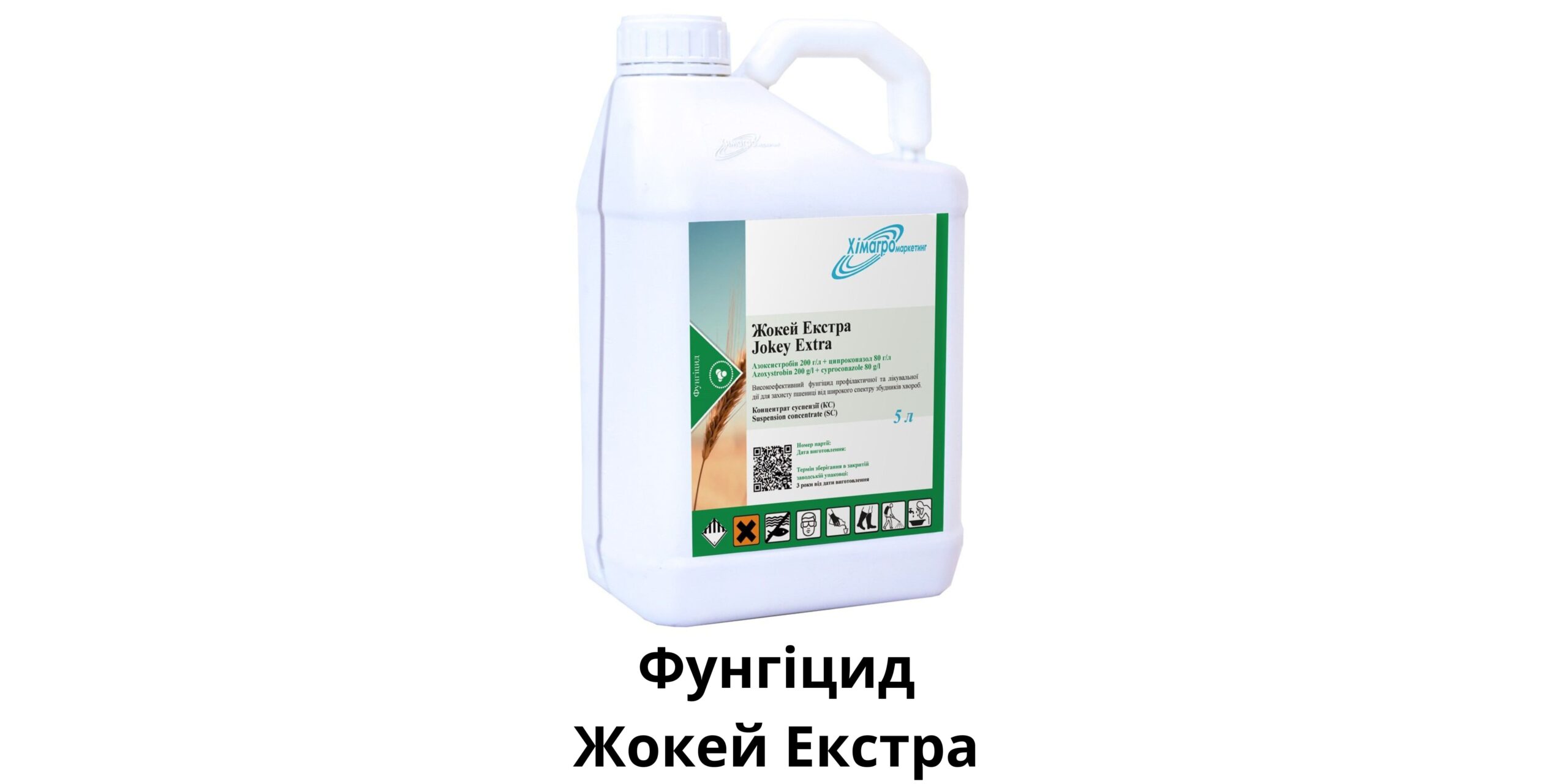 Добавить заголовок (92) (1)