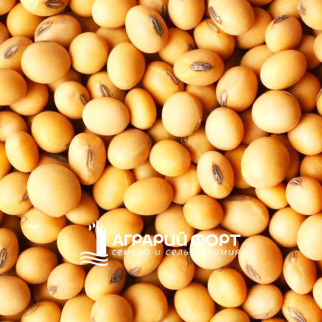 f638x638-56335_114502_5050