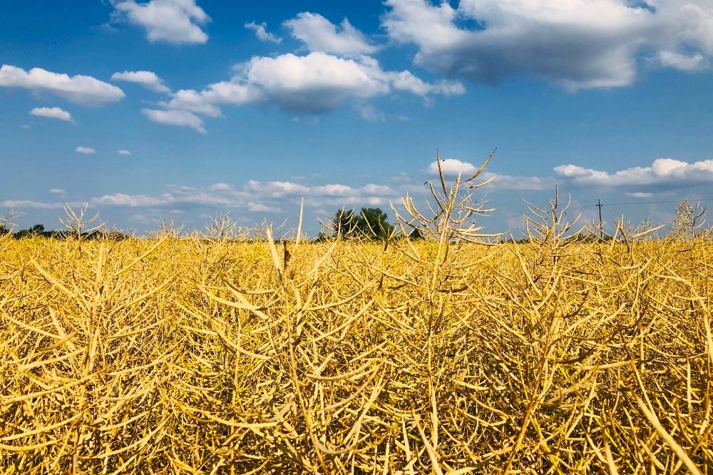 fc6a6c3e eb2b 4662 9136 330f68e97442 1 129619 fc6a6c3e eb2b 4662 9136 330f68e97442 1 129619