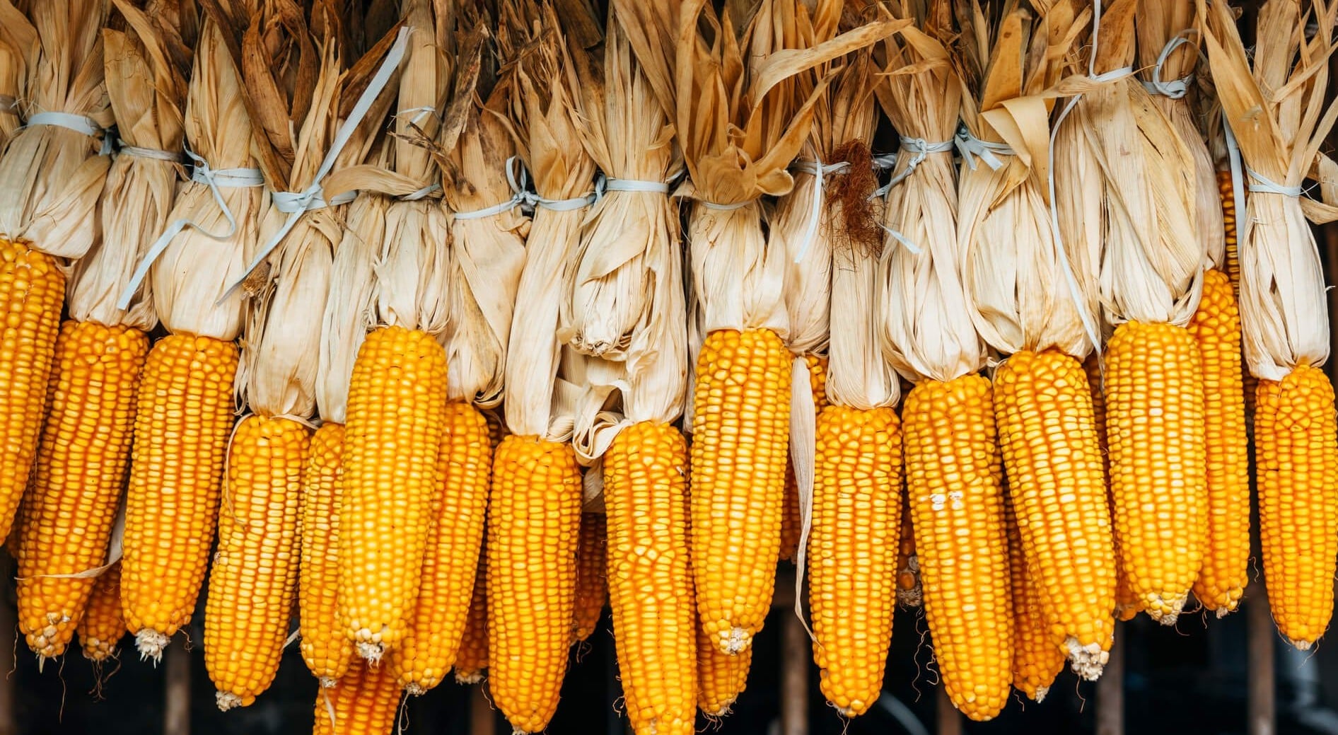 iStock 1464789016+(1) min iStock 1464789016+(1) min