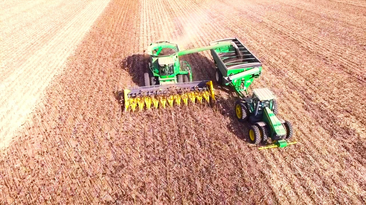 Докладніше про внесення засобів захисту рослин для соняшника Докладніше про внесення засобів захисту рослин для соняшника