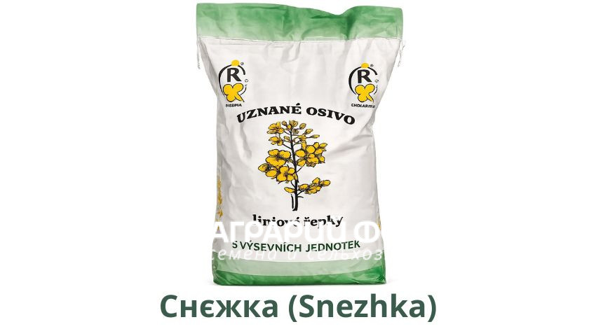 Купить семена рапса Снежка (Snezhka), Selgen в Украине