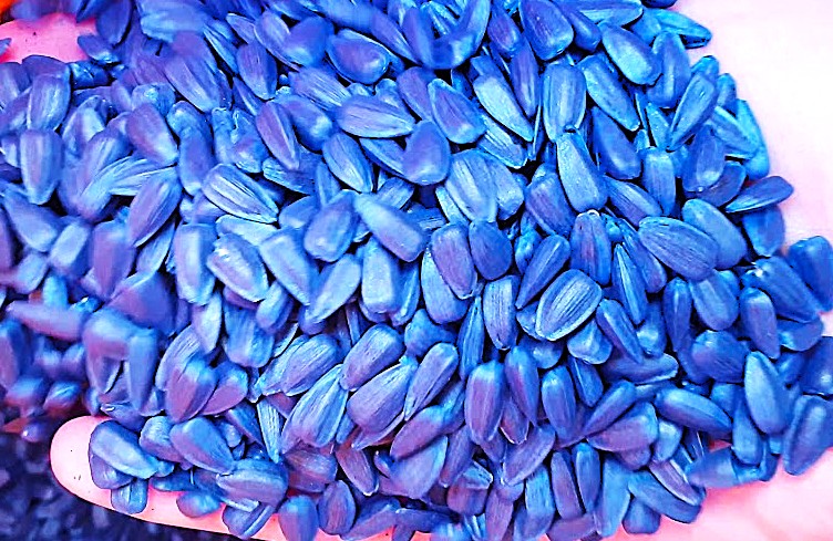 maxresdefault (3) maxresdefault (3)