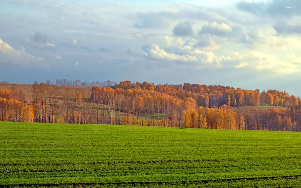 pole oseniu 3 pole oseniu 3