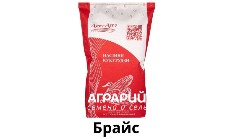Насіння кукурудзи Брайс — купити гібрид ФАО 310 в Україні Насіння кукурудзи Брайс — купити гібрид ФАО 310 в Україні