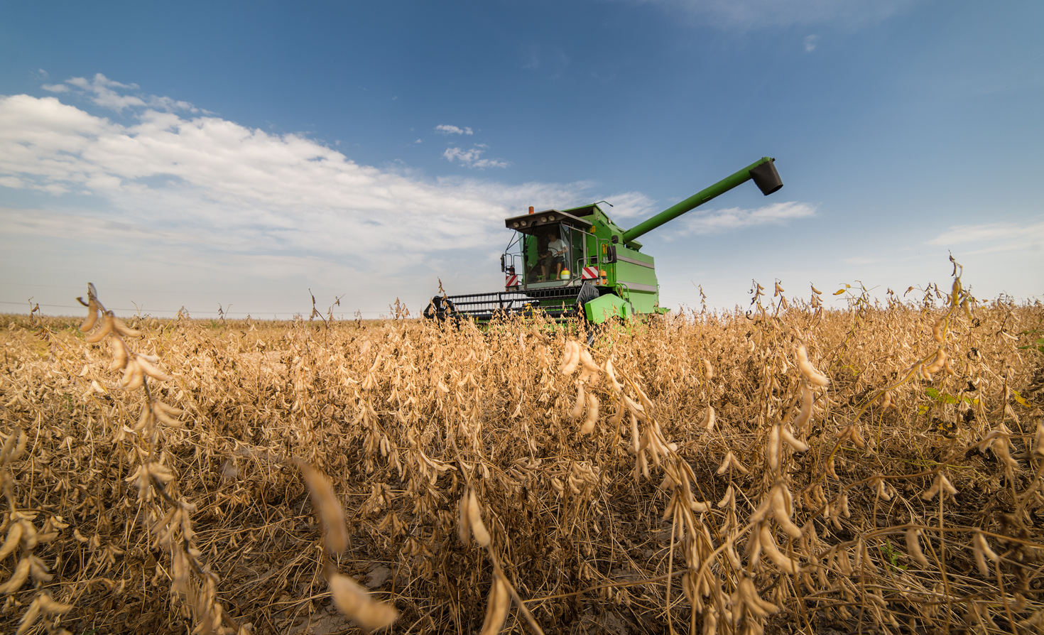 soybeanharvesting shutterstock soybeanharvesting shutterstock