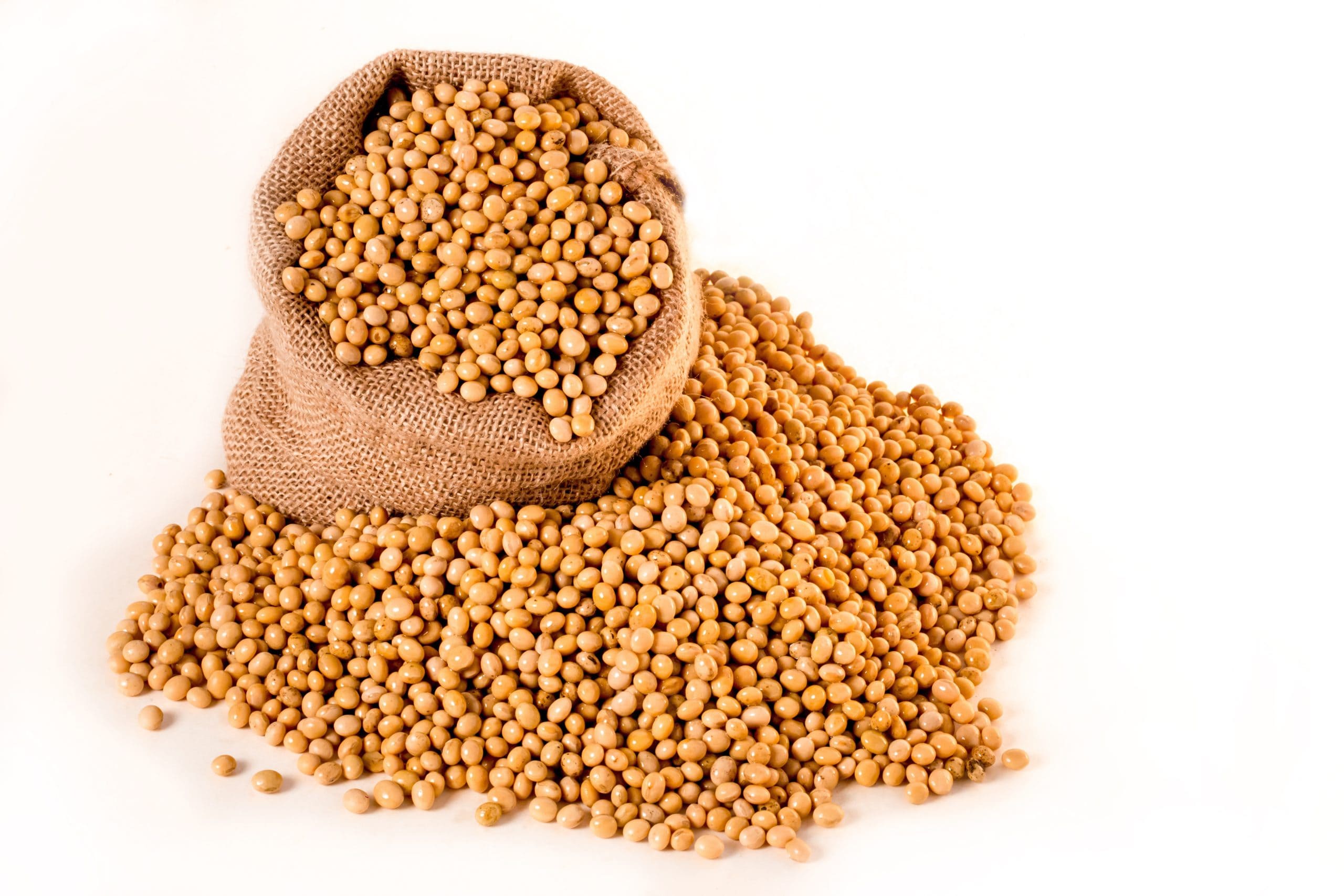 Soybeans-pile-scaled