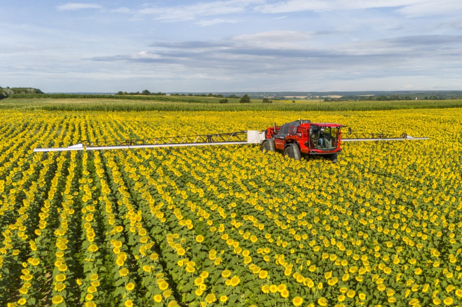 Поради щодо застосування гербіцидів у вирощуванні соняшнику