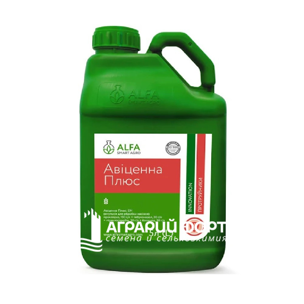 Плюс 5л Плюс 5л