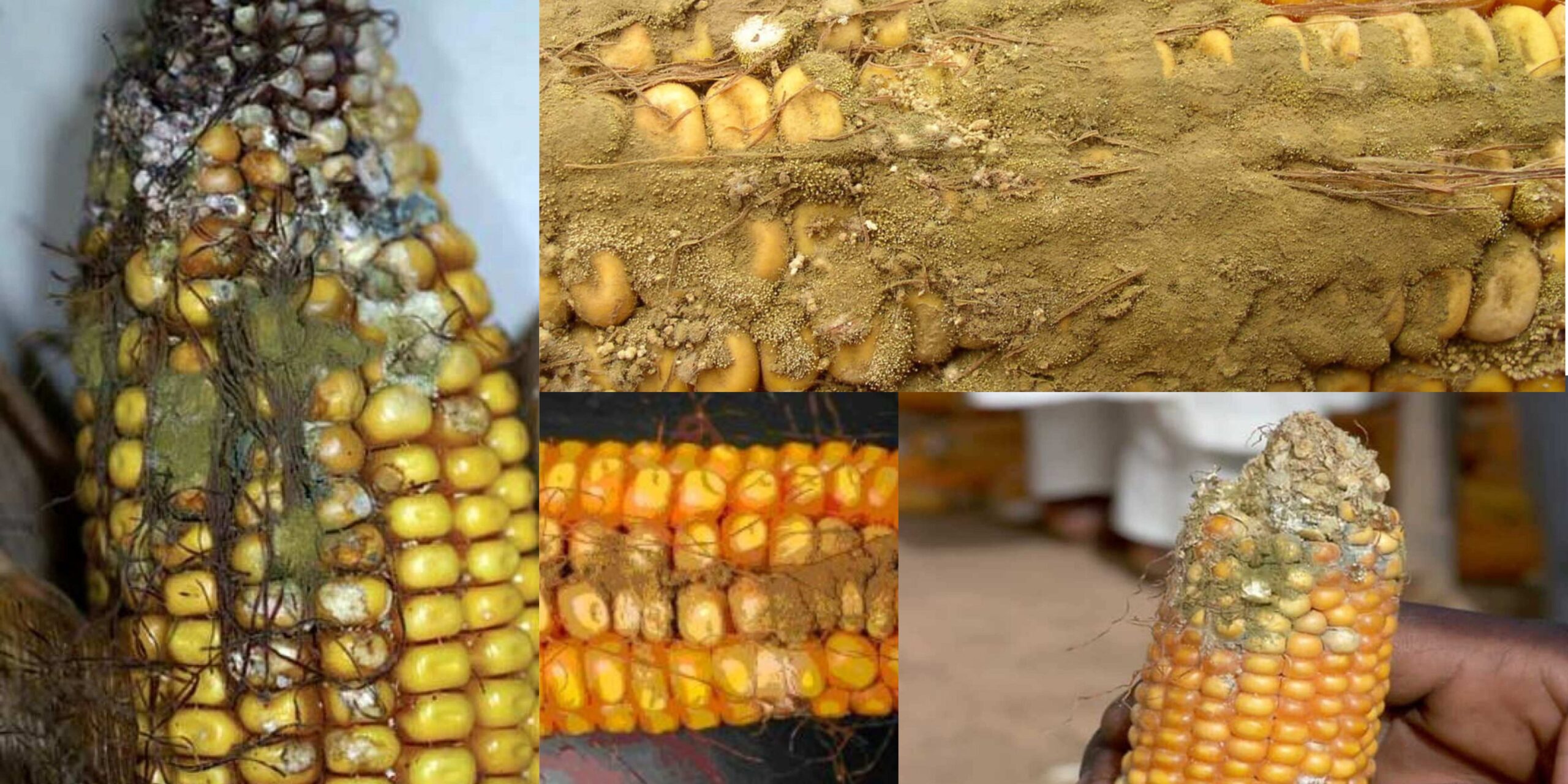 Добавить заголовок (13) (1)