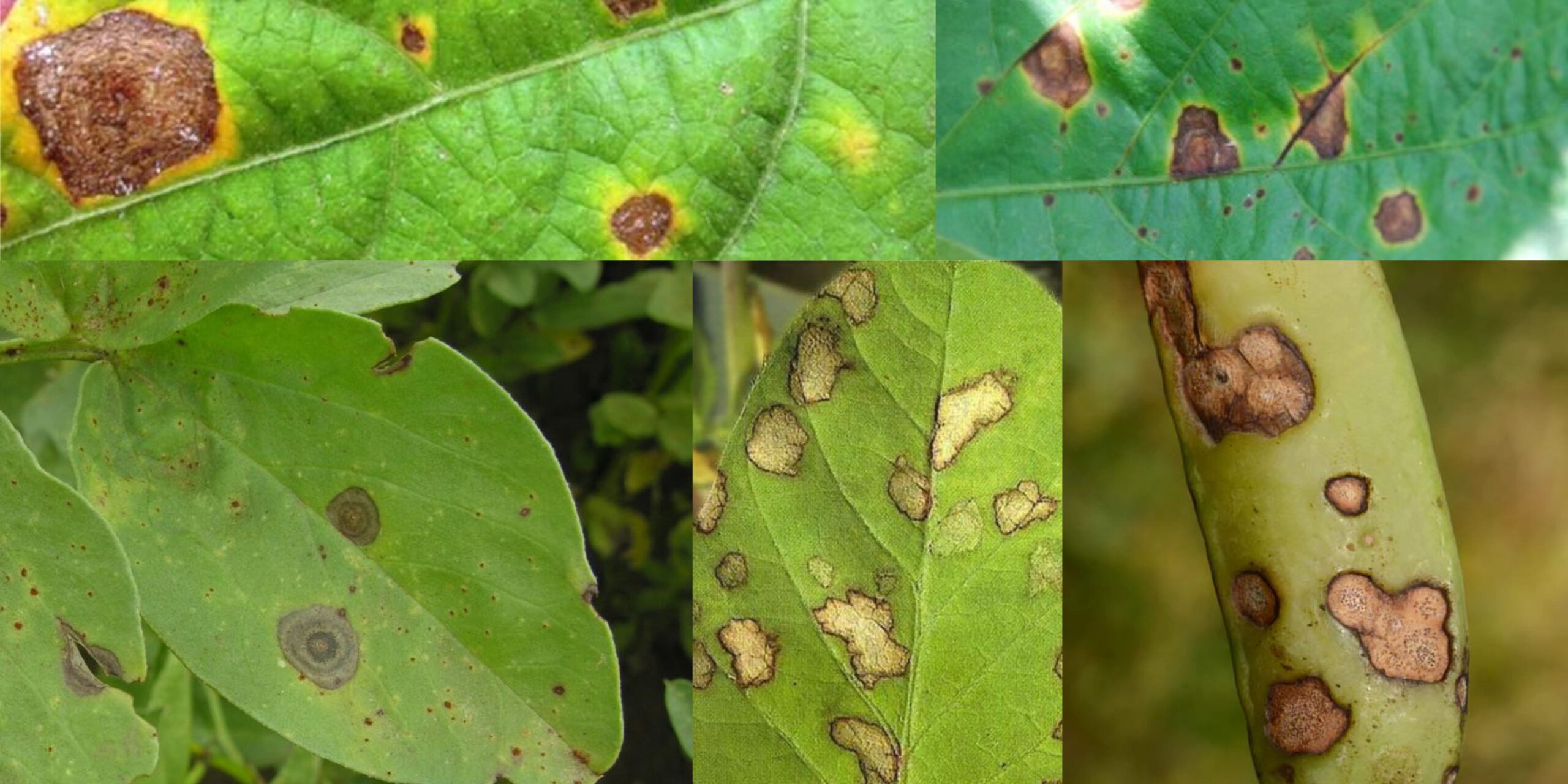 Добавить заголовок (19) min Добавить заголовок (19) min