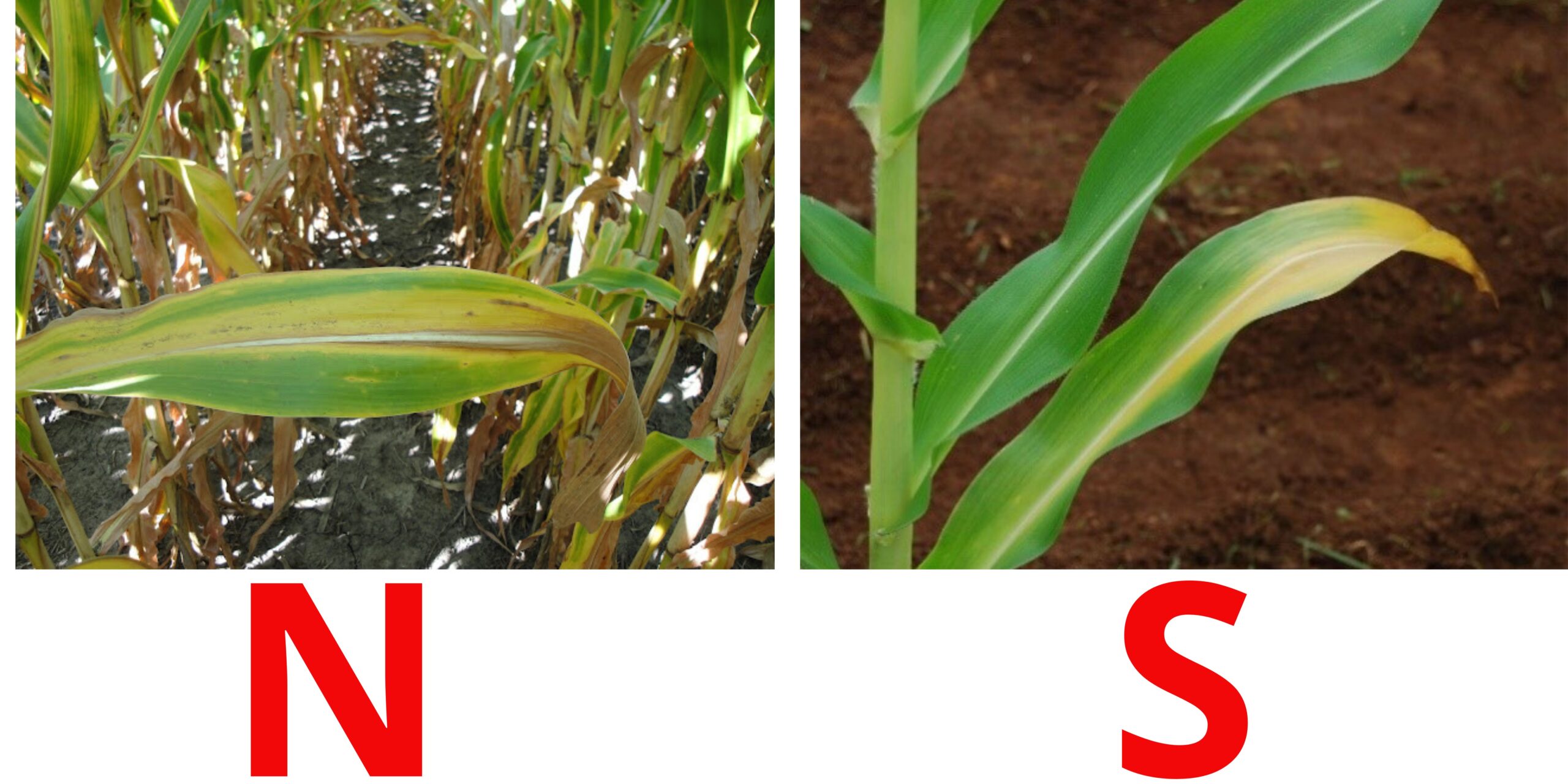 Добавить заголовок (2) Добавить заголовок (2)