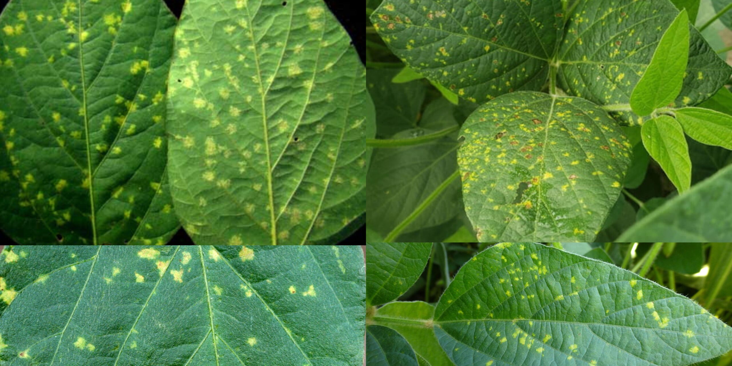 Добавить заголовок (20) min Добавить заголовок (20) min