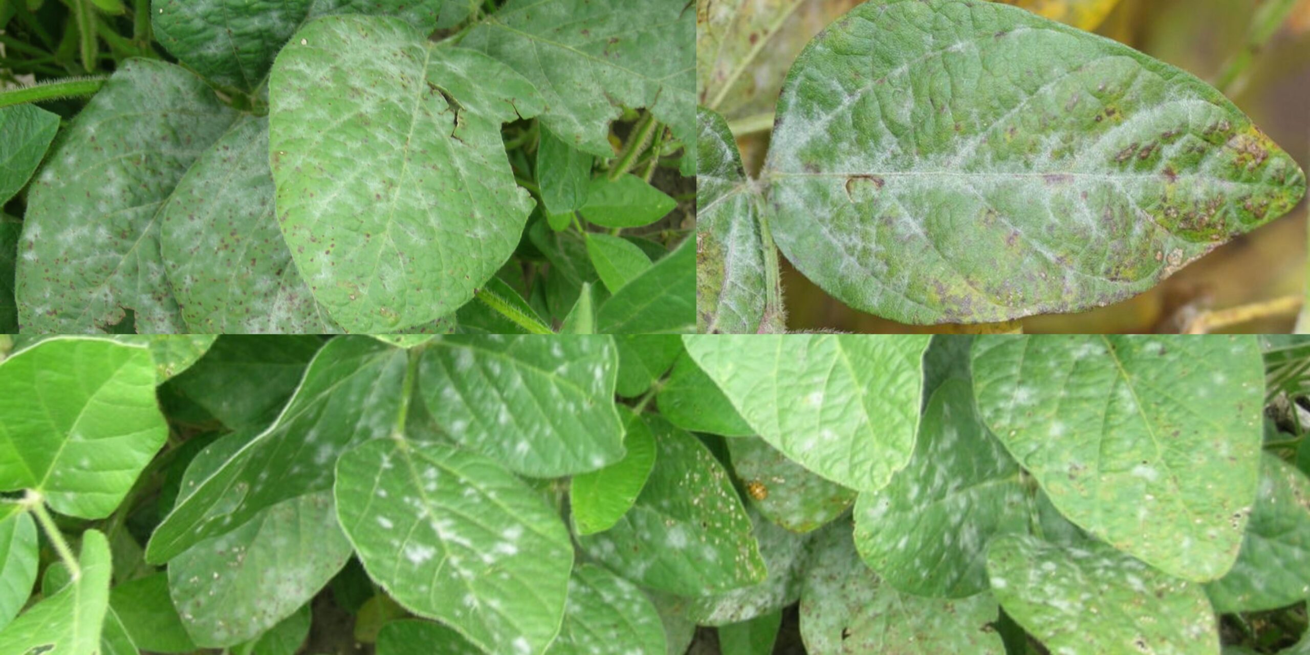 Добавить заголовок (21) Добавить заголовок (21)