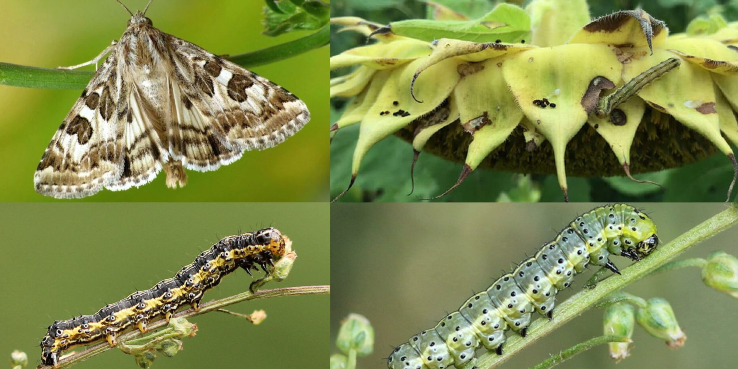 Добавить заголовок (23) min