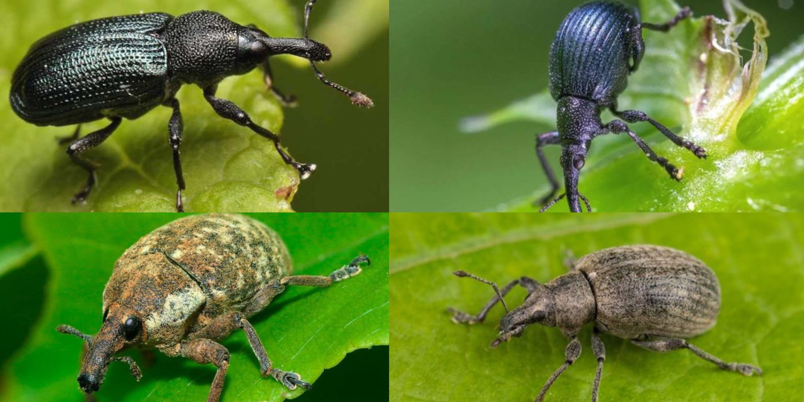 Добавить заголовок (24) min Добавить заголовок (24) min