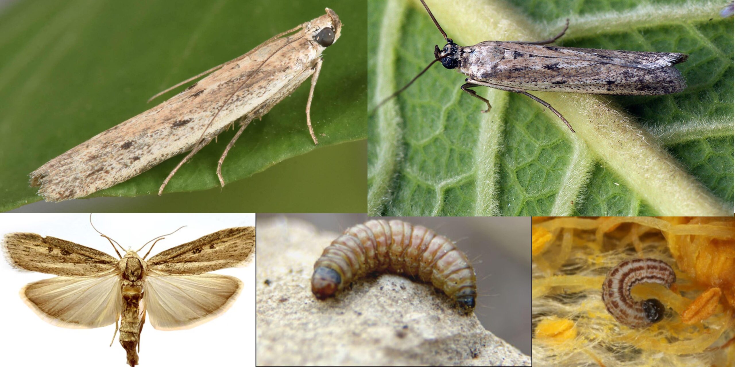 Добавить заголовок (27) min Добавить заголовок (27) min