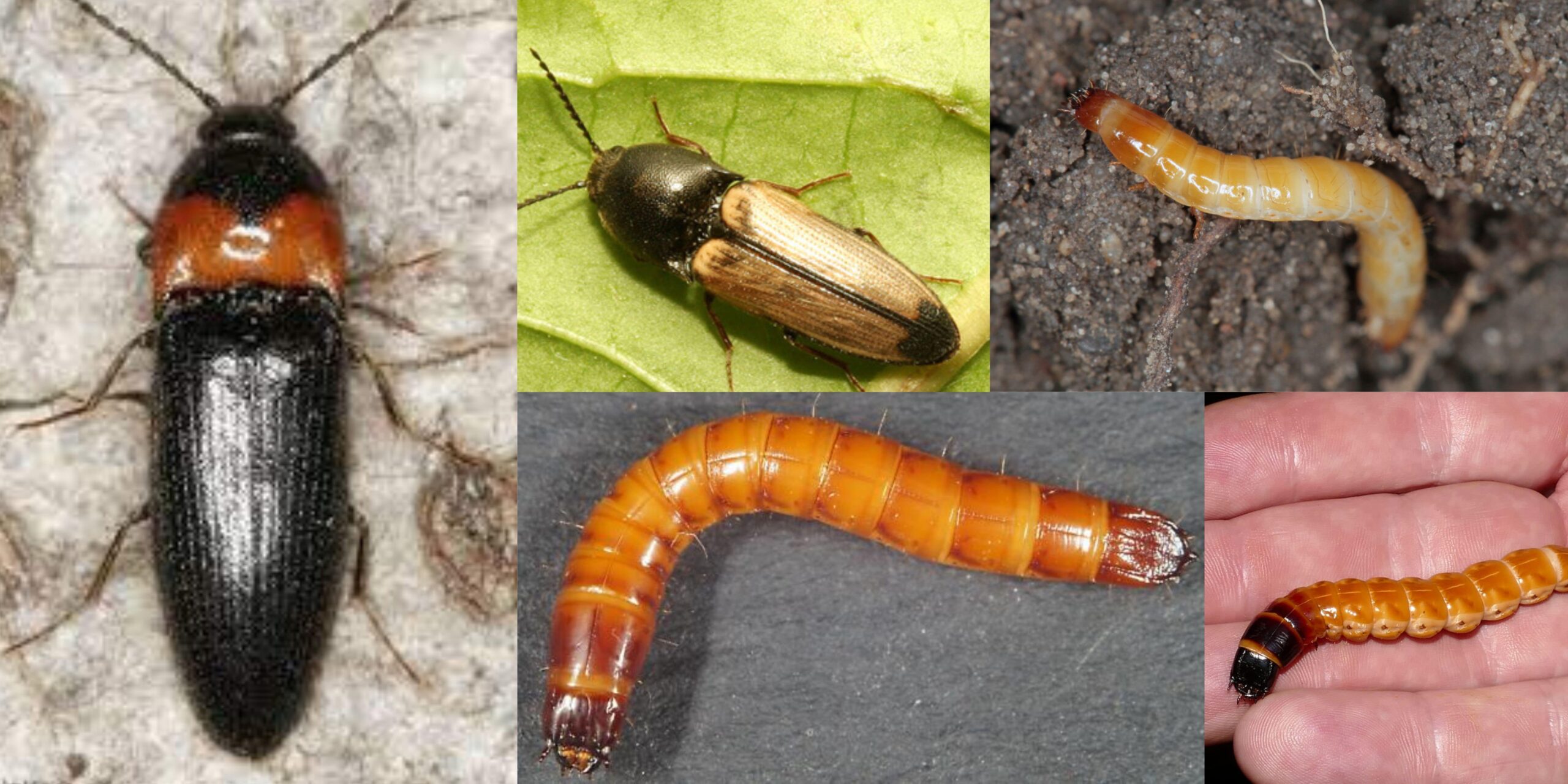 Добавить заголовок (28) min