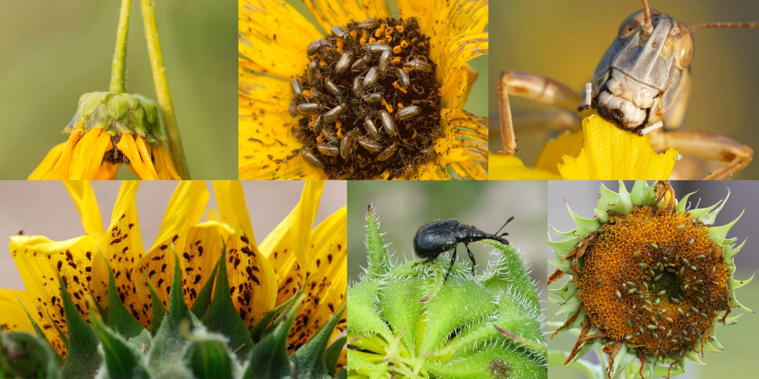 Добавить заголовок (30) min